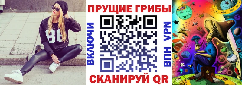 Галлюциногенные грибы Psilocybine cubensis  blacksprut ССЫЛКА  Сольвычегодск 